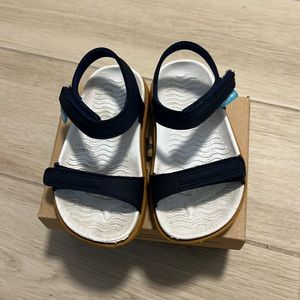 Native Shoes Charley toddler size 6 Regatta Blue
